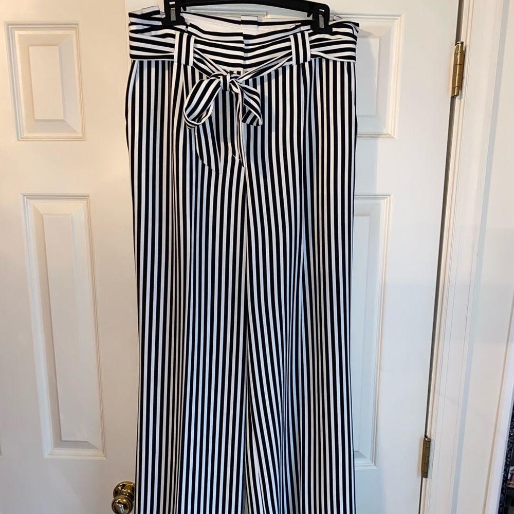 Express wide leg pant
